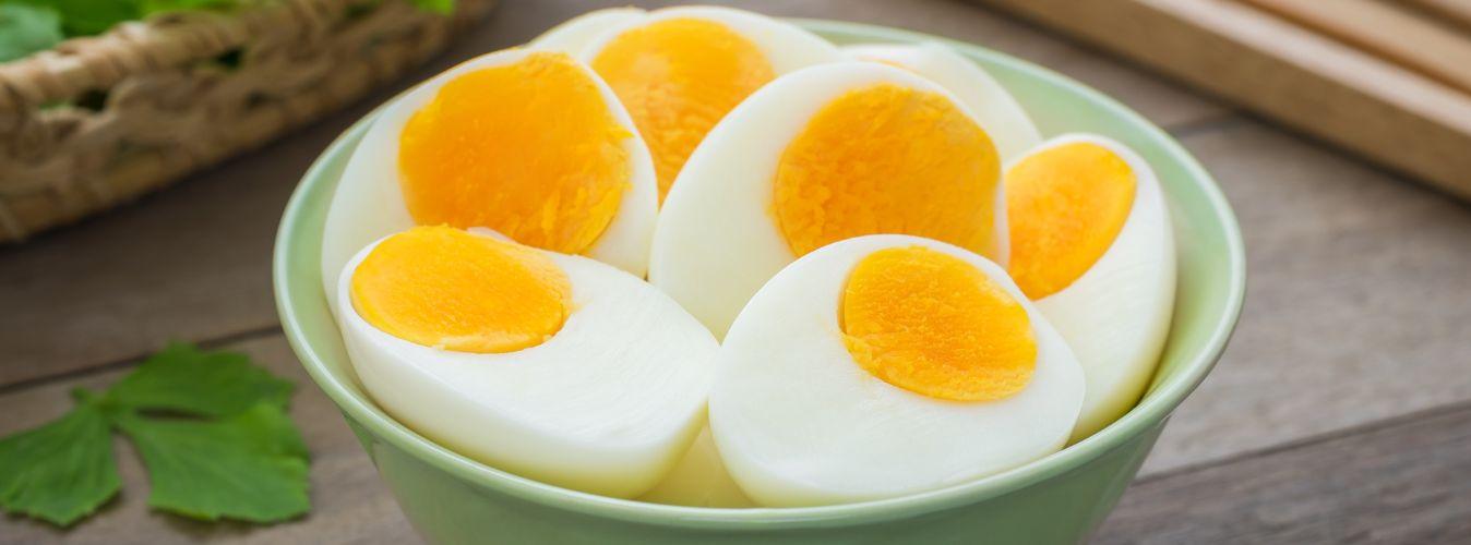 Should I Feed My Dog Eggs - Petsy