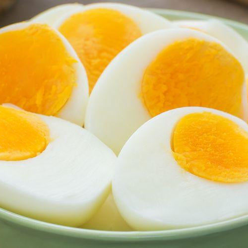 Should I Feed My Dog Eggs - Petsy