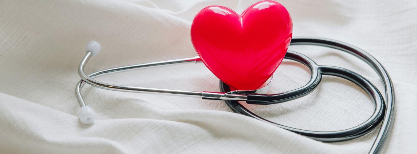 Petsy's Checklist To Find Your Trusted Vet - Petsy