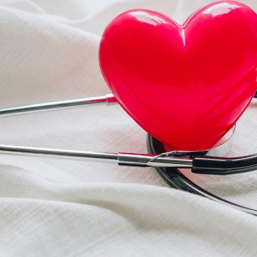 Petsy's Checklist To Find Your Trusted Vet - Petsy