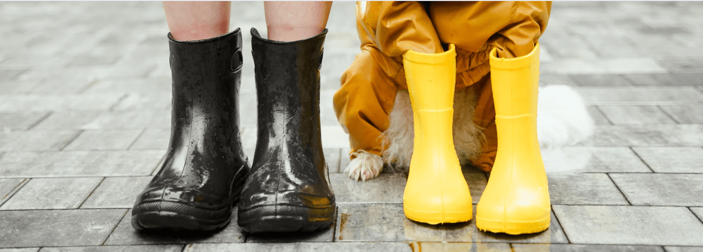 Is Your Pet Ready For The Monsoon? - Petsy