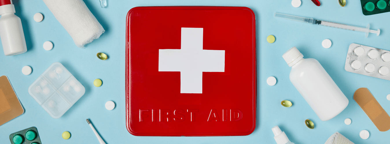 Top 5 Tips on First Aid for Pets - Petsy