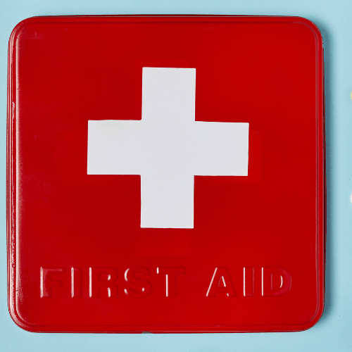 Top 5 Tips on First Aid for Pets - Petsy