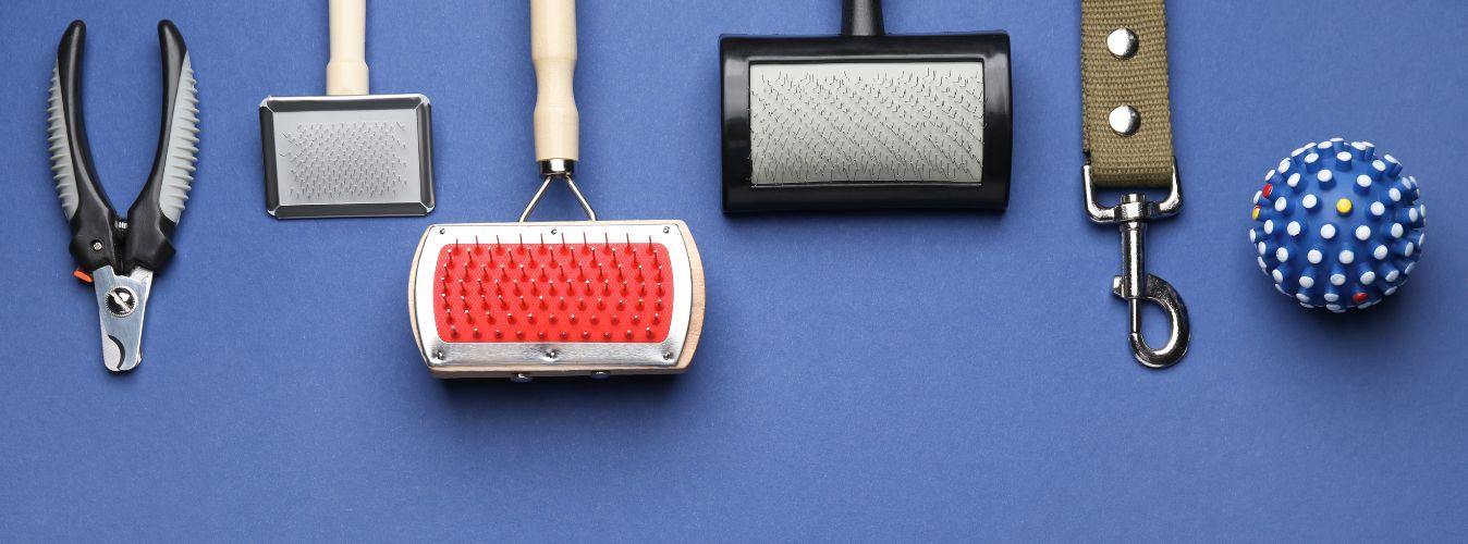 5 Easy & Quick Grooming Hacks for Your Pet - Petsy