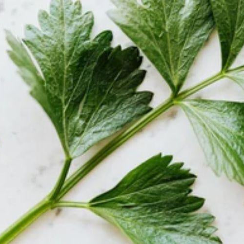 Parsely - The Super Herb! - Petsy