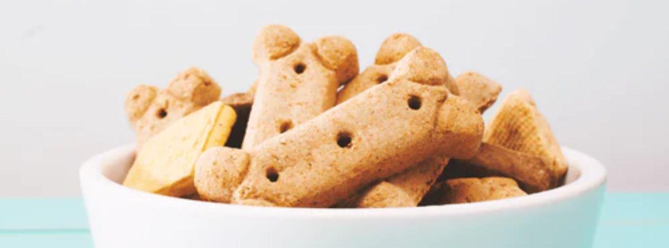 Quick and easy peanut butter dog treats - Petsy