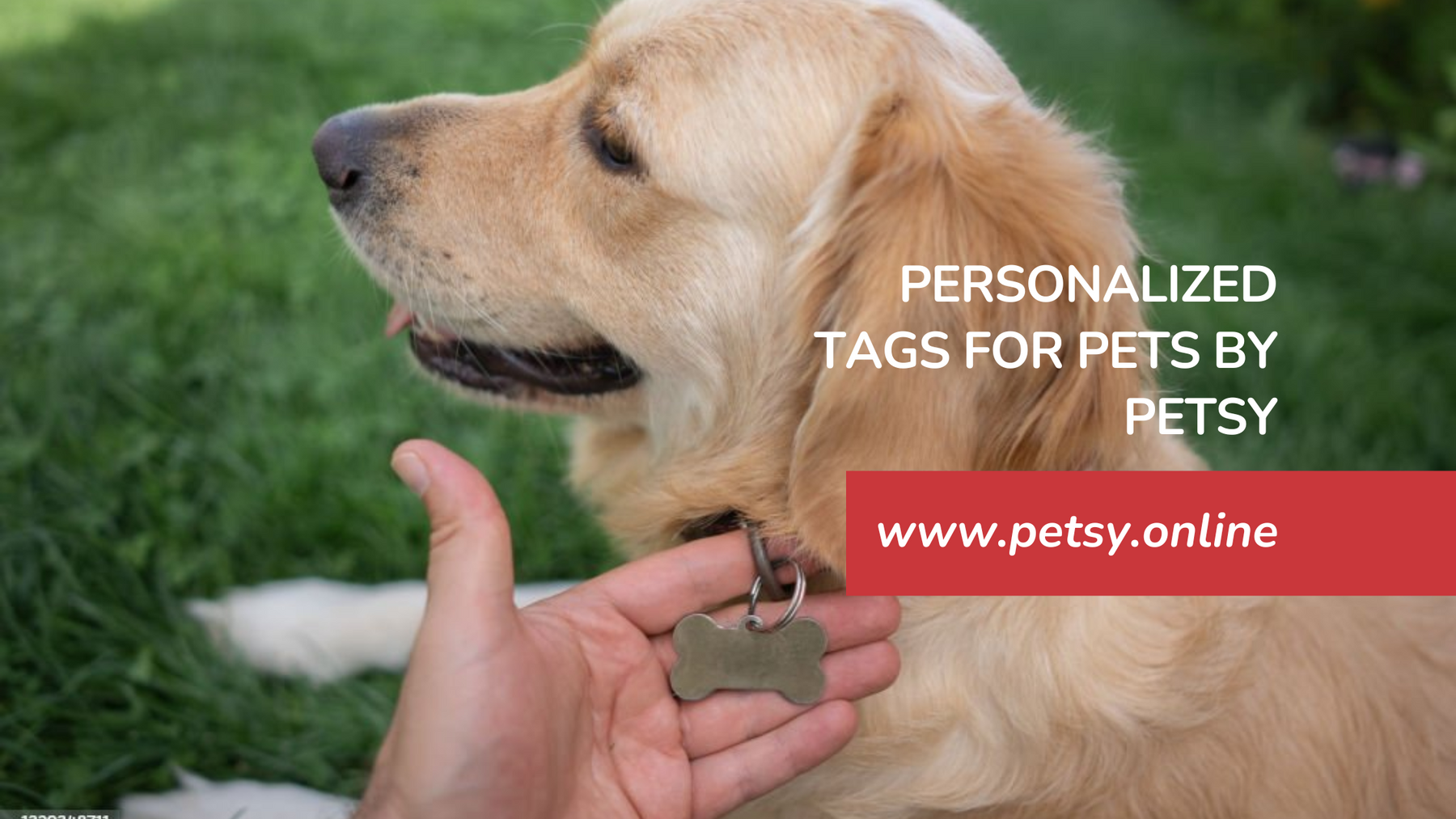 Create Your Own Pet  Personalized Tags for Pets by Petsy
