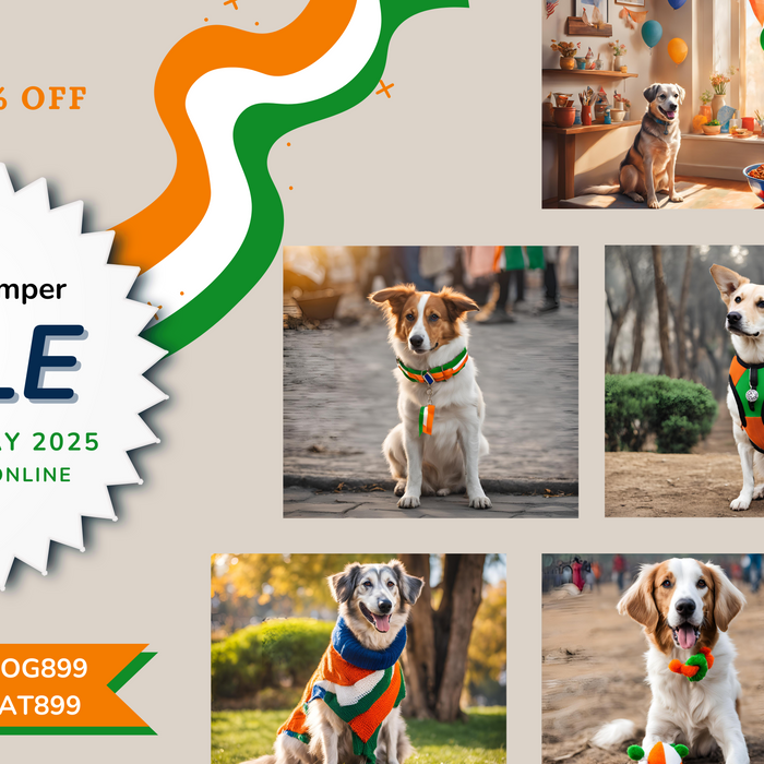 Celebrate Republic Day with Unbeatable Offers at Petsy! 🐾