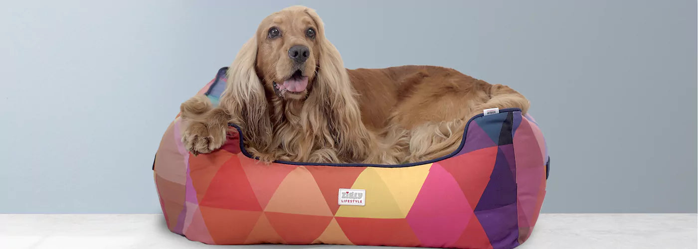 Diverse dog beds, find the ideal cozy space.