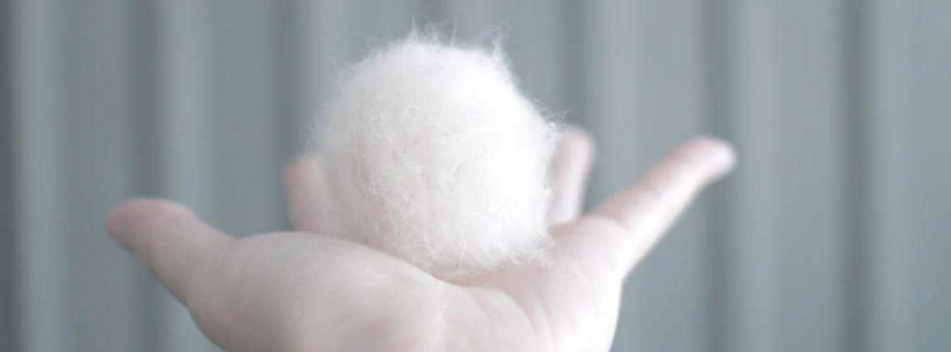 How to Prevent Hairballs in Cats - Petsy