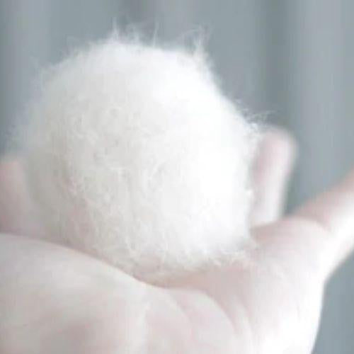 How to Prevent Hairballs in Cats - Petsy