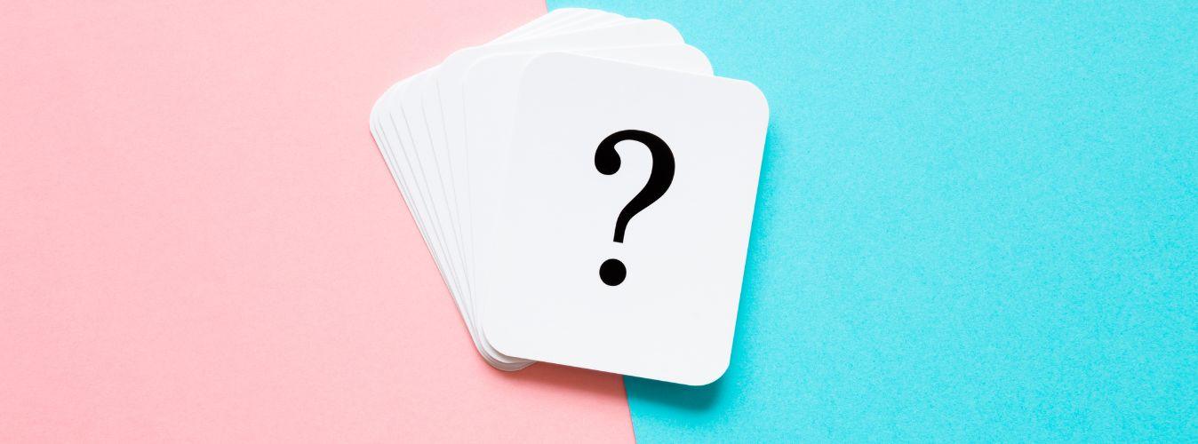 Should I Get a Dog? - Petsy