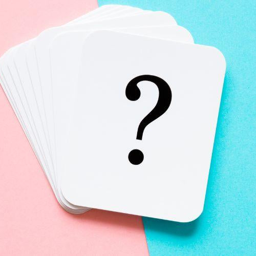 Should I Get a Dog? - Petsy