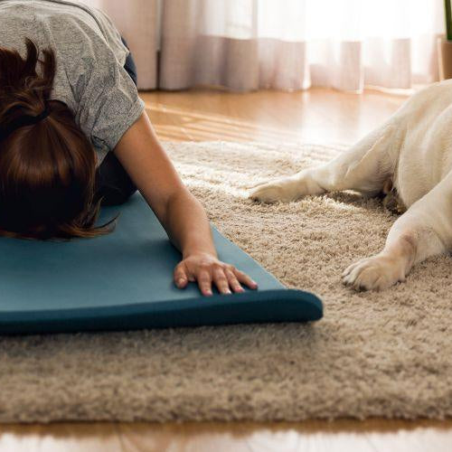 6 Tips to Keep Your Dog Active at Home - Petsy