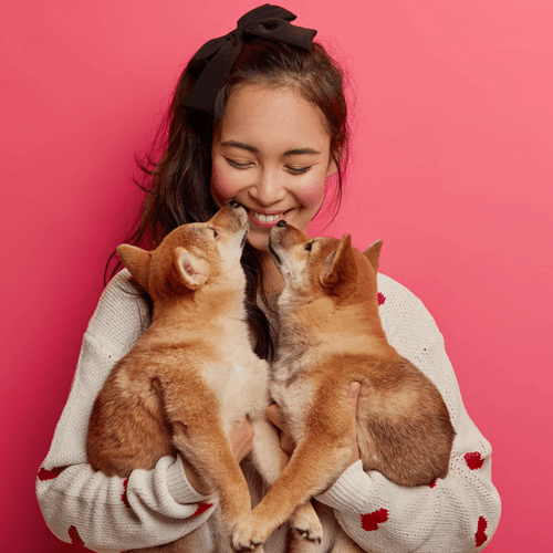 How to select the right pet for your family? - Petsy