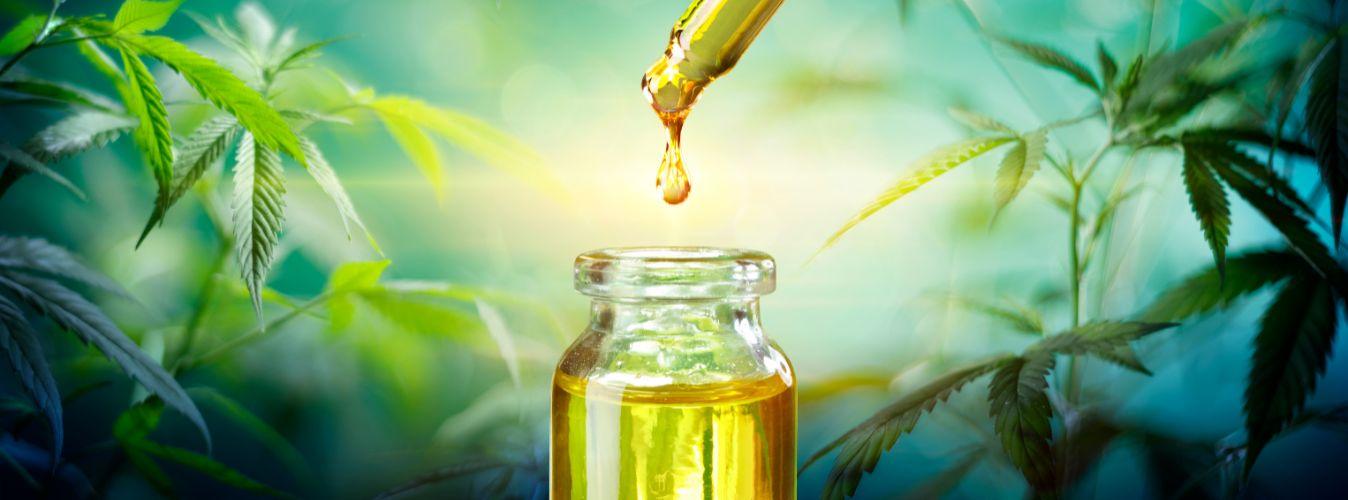 How Does Hemp Oil Benefit My Pet - Petsy