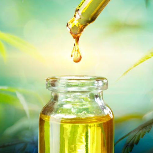 How Does Hemp Oil Benefit My Pet - Petsy