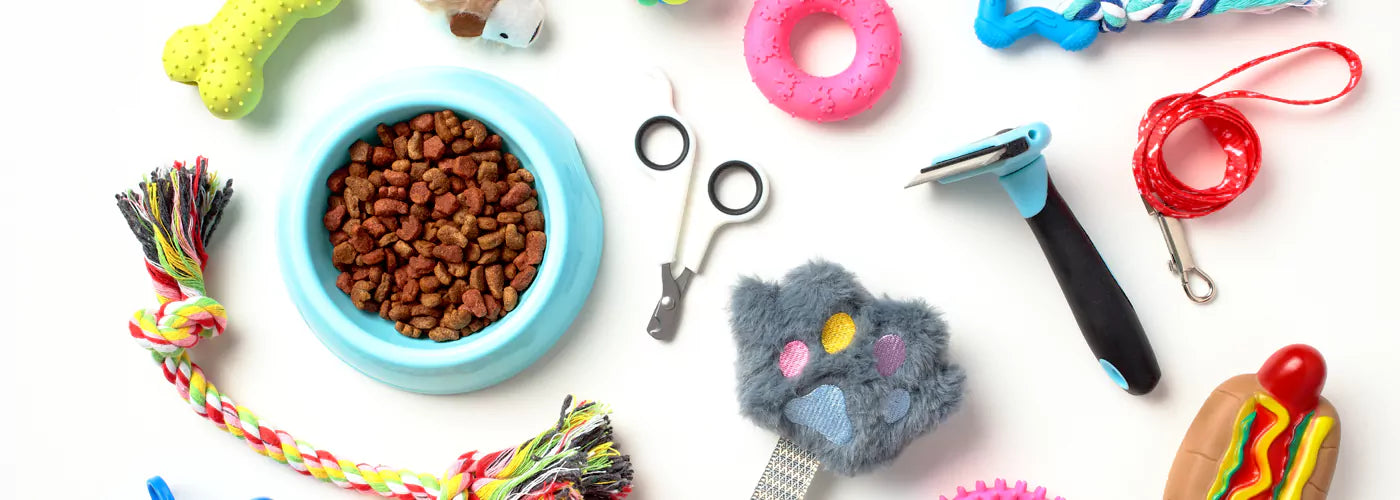 Exploring Must-Have Dog Accessories