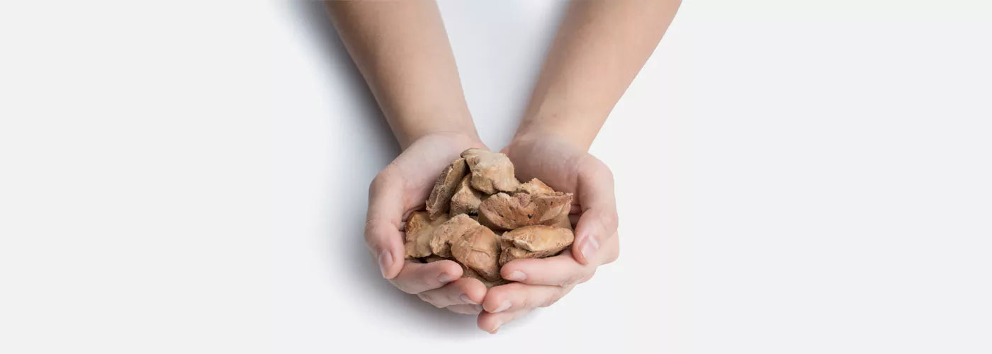 Nutritional benefits of freeze-dried treats for dogs.