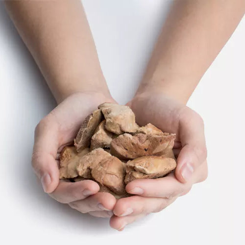 Nutritional benefits of freeze-dried treats for dogs.