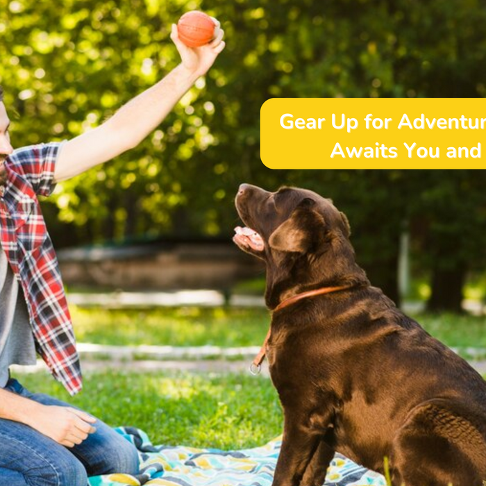 Gear Up for Outdoor Fun this Summer: The Ultimate Guide for Your Pet’s Adventure