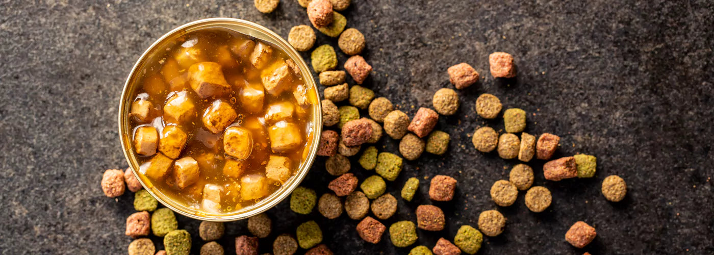 Choosing Between Wet and Dry Food for Your Dog