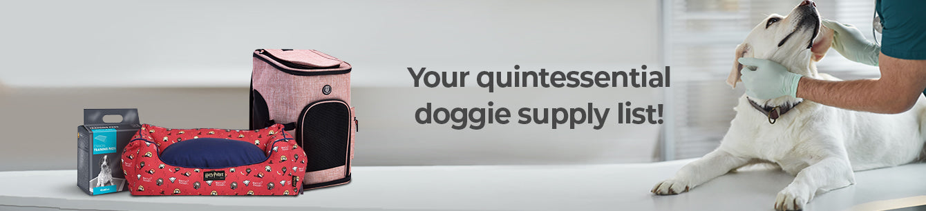 Dog Supplies - Petsy