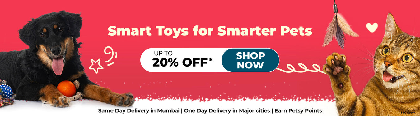 Pet Toys – Engaging & Durable Playthings for Your Pets