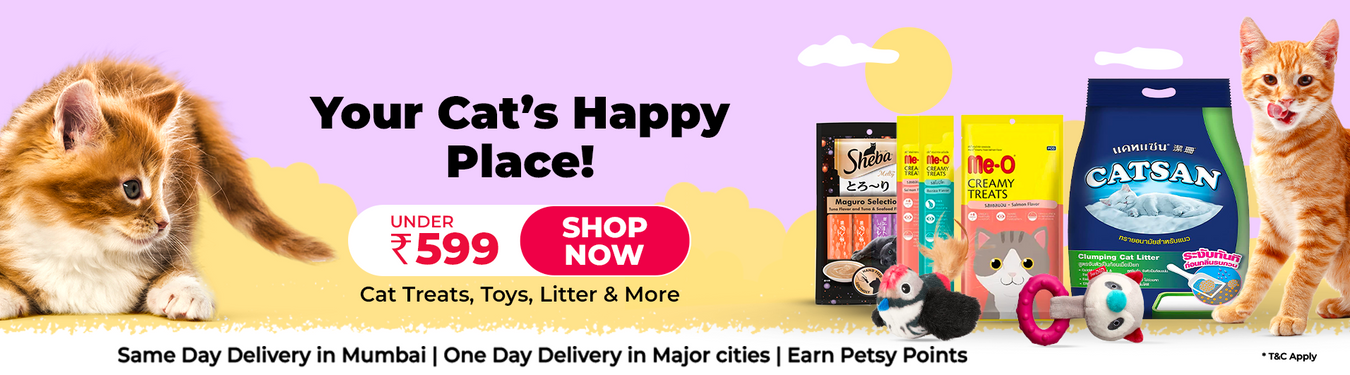 Cat Treats, Toys & More