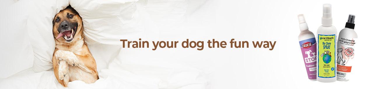 Training & Behaviour - Petsy