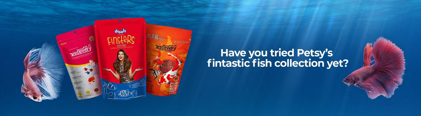 Fishes & Turtles - Petsy