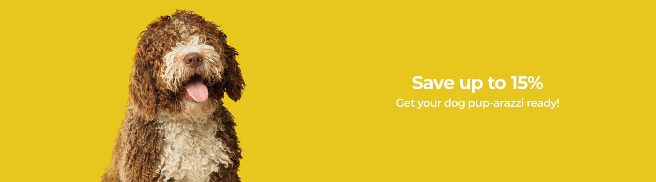 Grooming Products For Long Haired Dog Breeds - Petsy