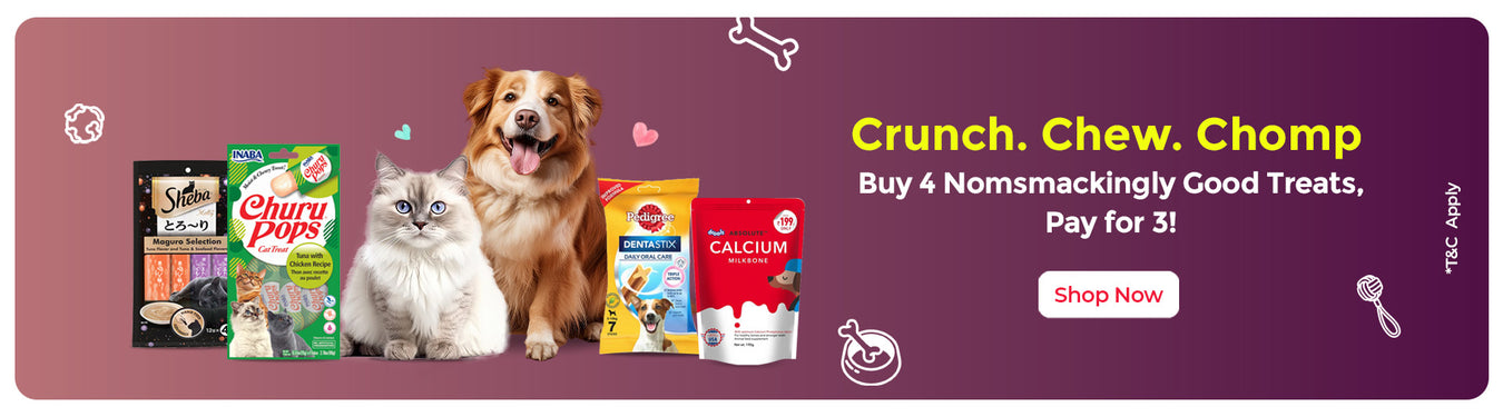 Special Offer: Buy 4 Treats, Pay for Just 3
