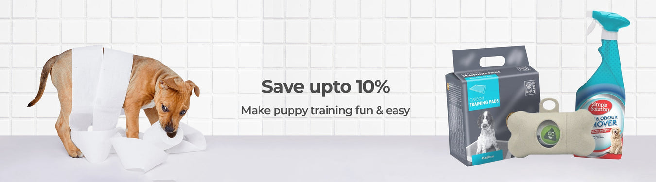 Cleaning & Potty - Petsy