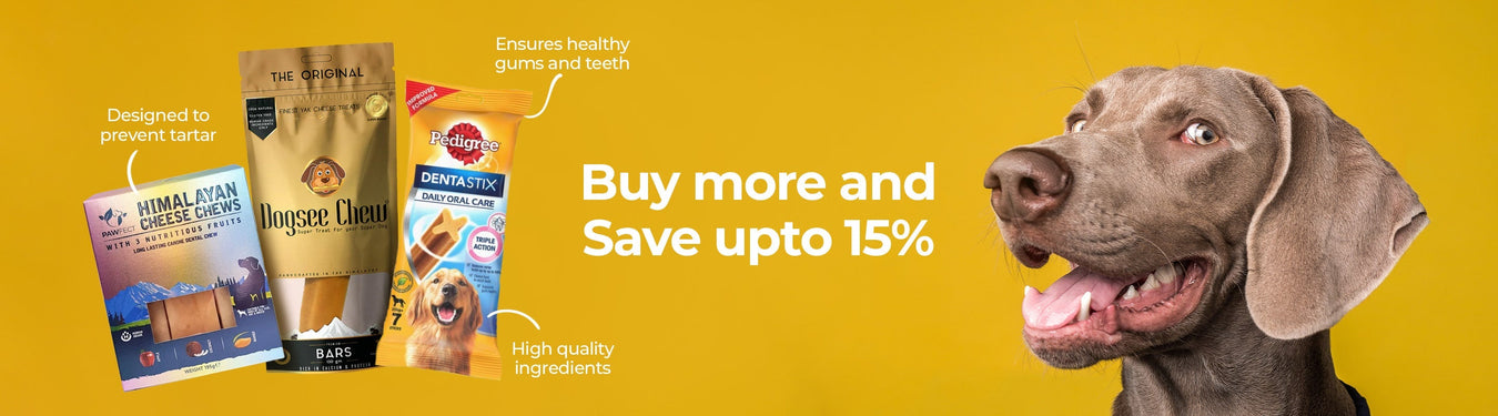 Dental Treats - Petsy