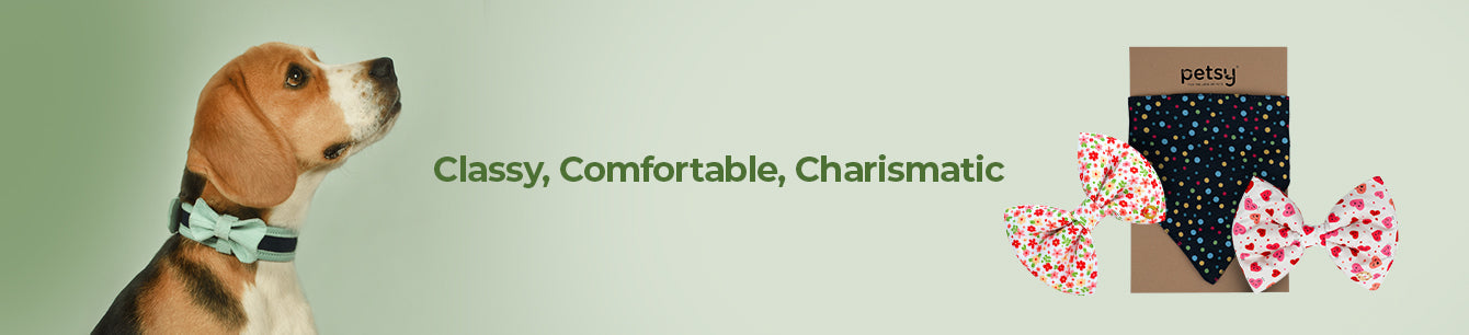 Dog Bows & Bandanas - Petsy