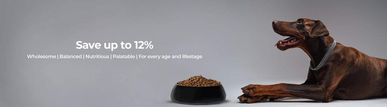 Dobermann Food - Petsy