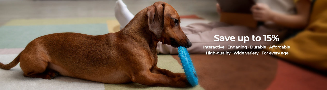 Dachshund Toys - Petsy