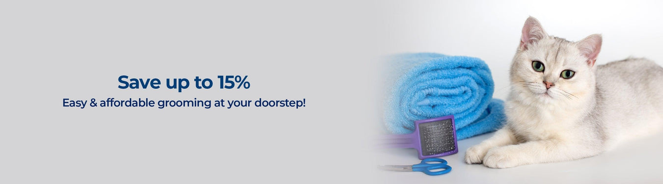 Grooming Products For Short Haired Cat Breeds - Petsy