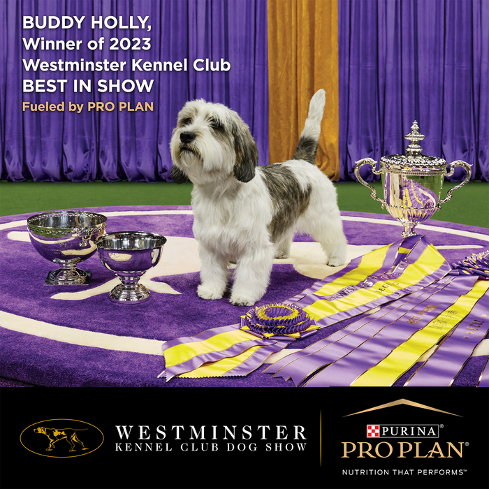 PURINA PRO PLAN Large Breed Adult Dry Dog Food - 3kg