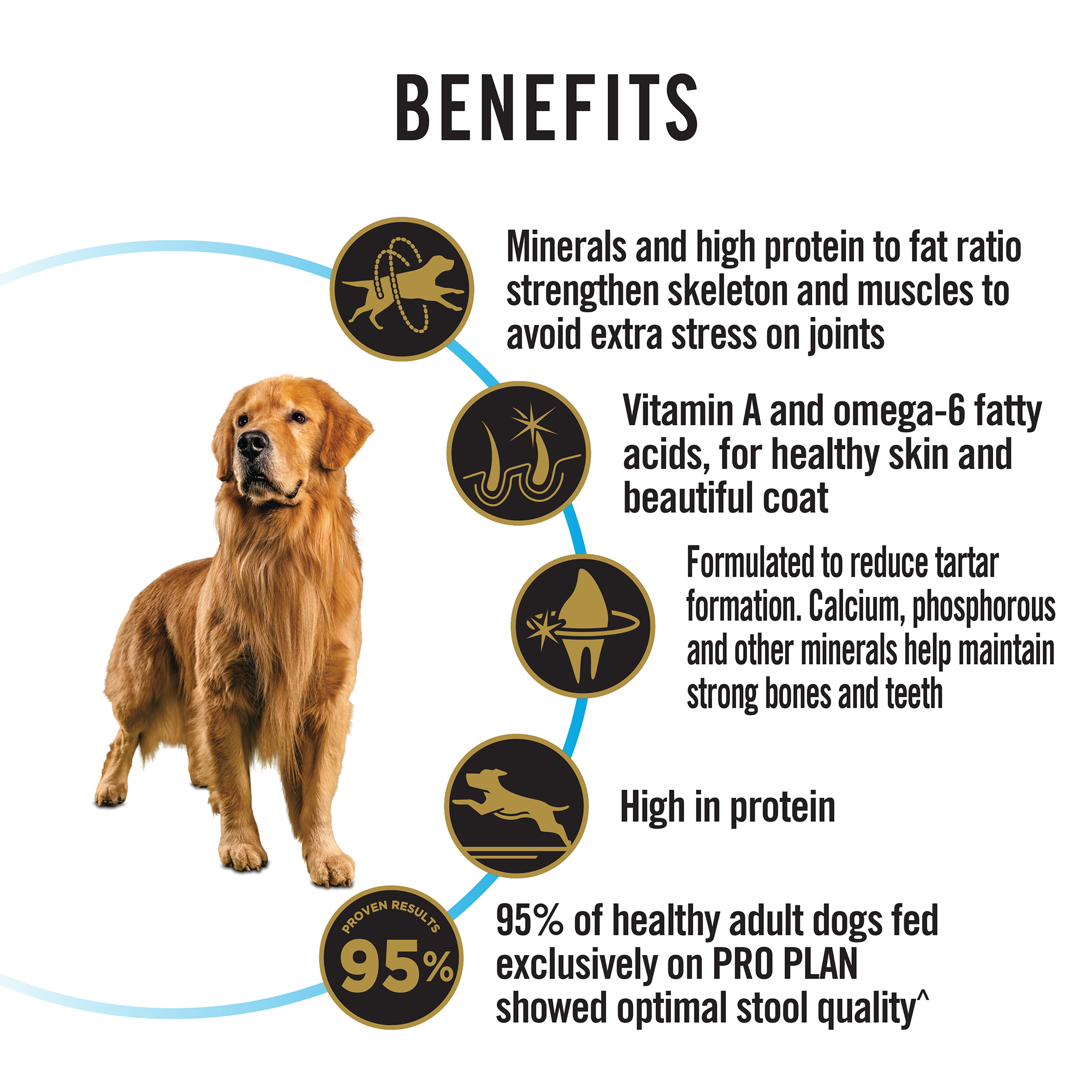 PURINA PRO PLAN Large Breed Adult Dry Dog Food - 3kg