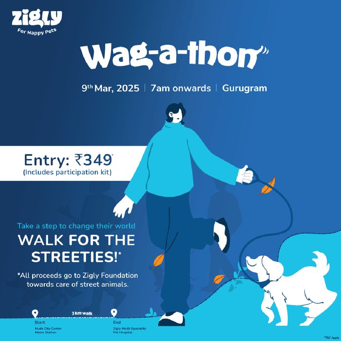 Wag-a-Thon - (Walk for The Streeties)
