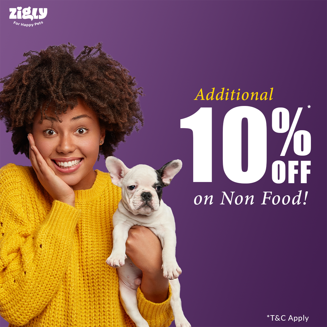 Zigly+ Premium Plan : Platinum