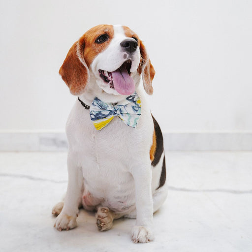 ZL Marble Print Ribbon Dog Bow Tie