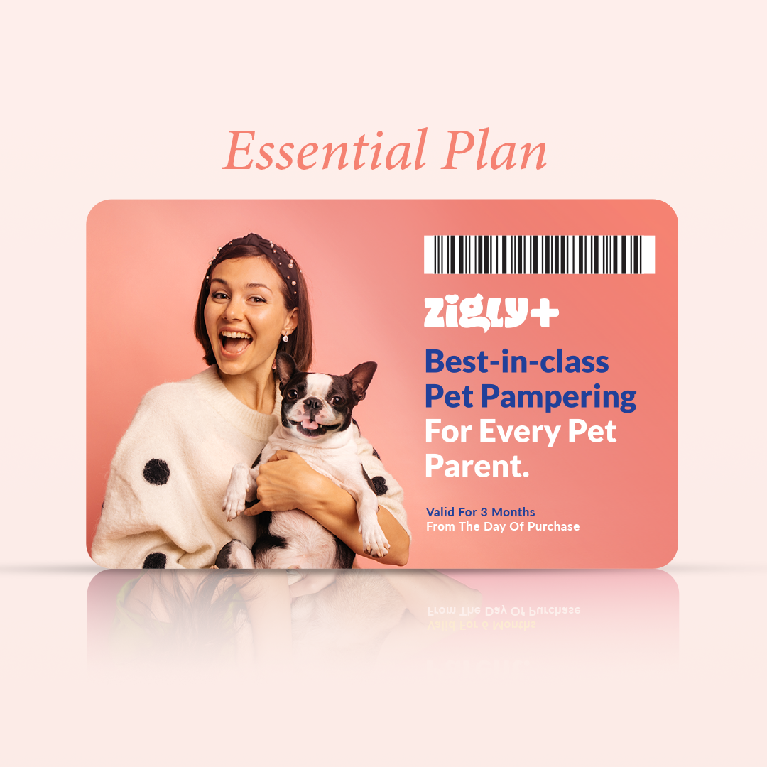 Zigly+ Essential Plan