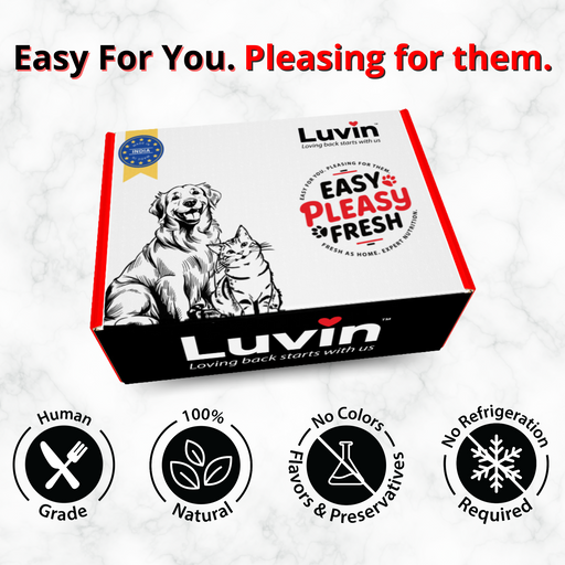 Luvin Chicken Bone Broth for Dogs – 80ml (Pack of 6)