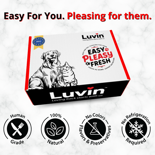 Luvin Chicken Bone Broth for Cats – 80ml (Pack of 6)