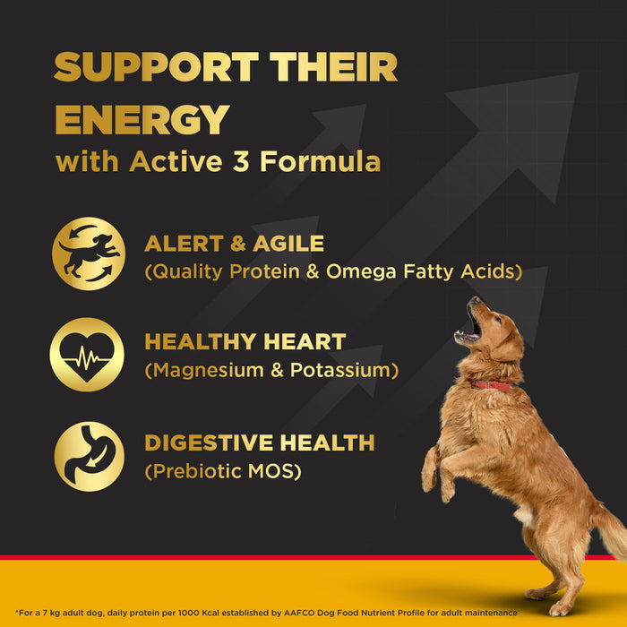 Pedigree PRO Dry Dog Food - Active Adult Dogs Large Breed (18+ Months)