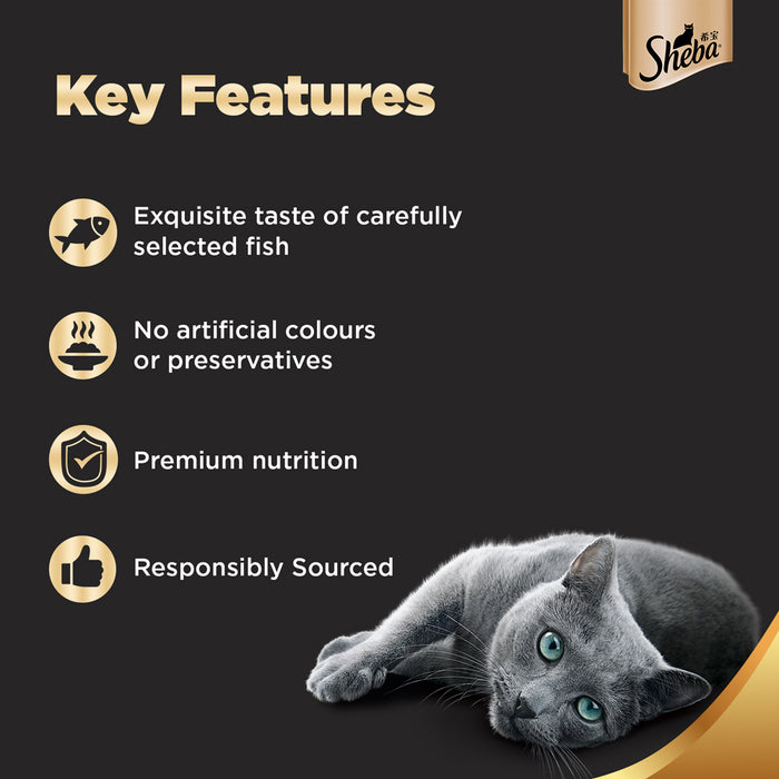 Sheba Wet Cat Food - Skipjack & Salmon