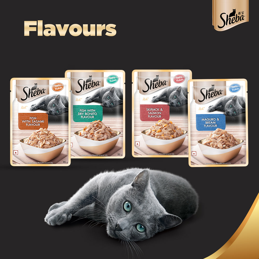 Sheba Wet Cat Food - Fish with Sasami